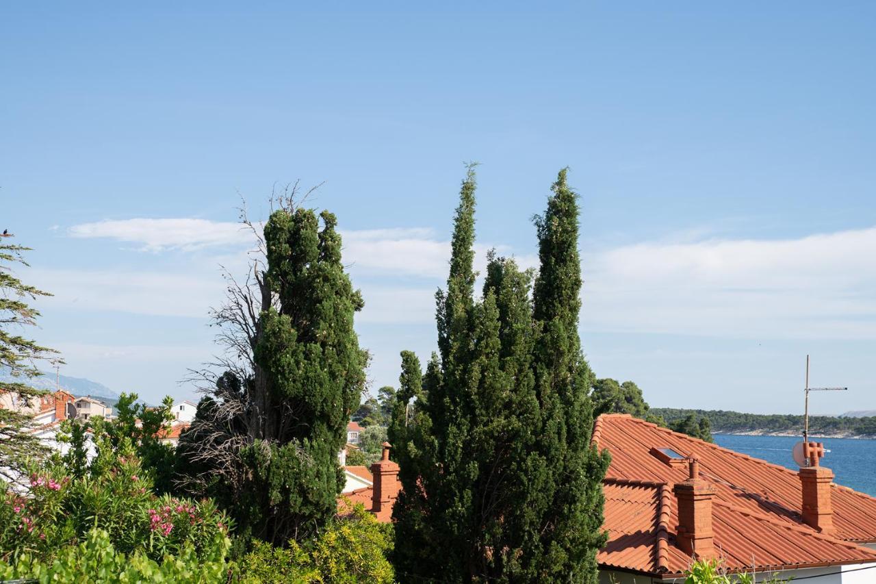 Vrtodusic